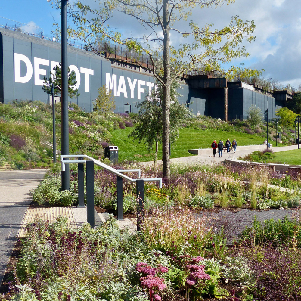Mayfield Park Opens to the Public
